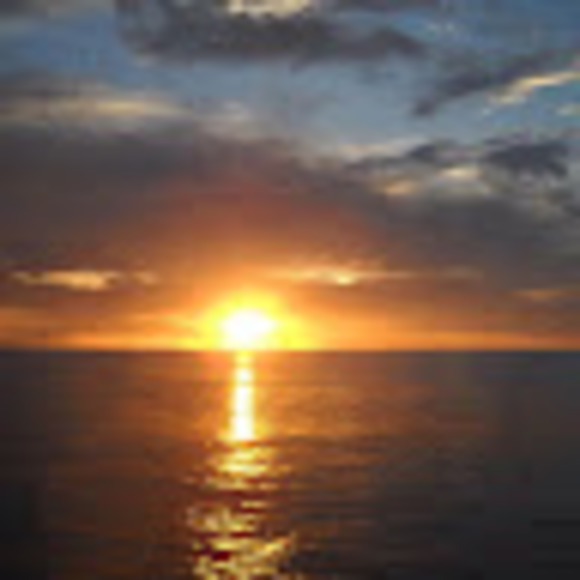 Meet your Posher, Daniel - Picture 1 of 1